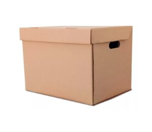 5 CAJAS STORBOX 50X30X30 (TALLA XL)