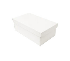 10 CAJAS PARA ZAPATOS EN CARTON BLANCO