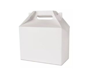 10 CAJAS CARTULINA LONCHERA BOX LUNCH